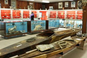 Blick durch das Eskimo Museum in Churchill mit Kanus der Inuit