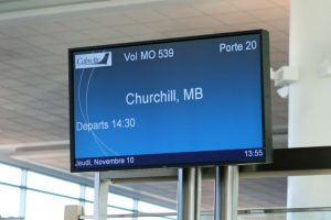 Eine Abflugtafel auf dem Flughafen von Winnipeg zeigt den Abflug eines Calm Air Fluges nach Churchill an.