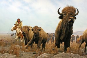 Indianer mit Bison auf der Büffeljagd in einem Diorama im Manitoba Museum in Winnipeg Kanada