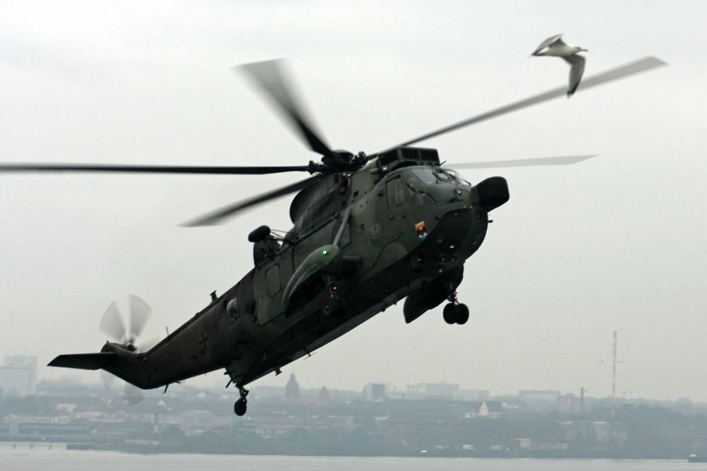 Hubschrauber machen Jagd auf Möwen