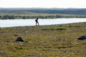 Wandern in der Arktis in der Tundra Kanadas