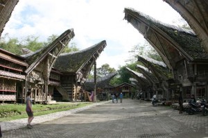 Typische Ansicht im Toraja-Land.
