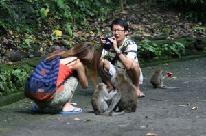 Die Affen waren allseits beliebte Fotomotive.