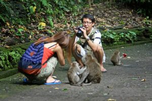 Touristen fotografieren Affen im Monkey Forest Ubud auf Bali in Indonesien