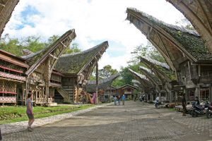 Ein Dorf mit typischen Häusern der Tana Toraja auf Sulawesi in Indonesien