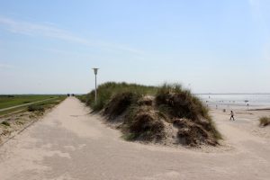 Dünen und Strand auf Norderney