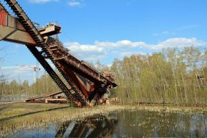 Die Natur erobert das Gelände der Kokerei und Zeche Zollverein im Ruhrgebiet zurück