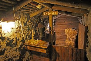 Das Grubenpferd Tobias befindet sich im Deutschen Bergbau-Museum Bochum