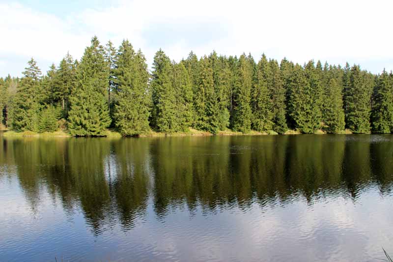 Oberer Nassenwieser Teich am Hexenstieg im Harz