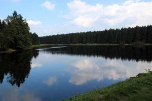 Die Teiche am Hexenstieg im Harz wirken fast wie in Kanada