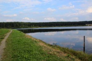 Der Hirschler Teich im Harz