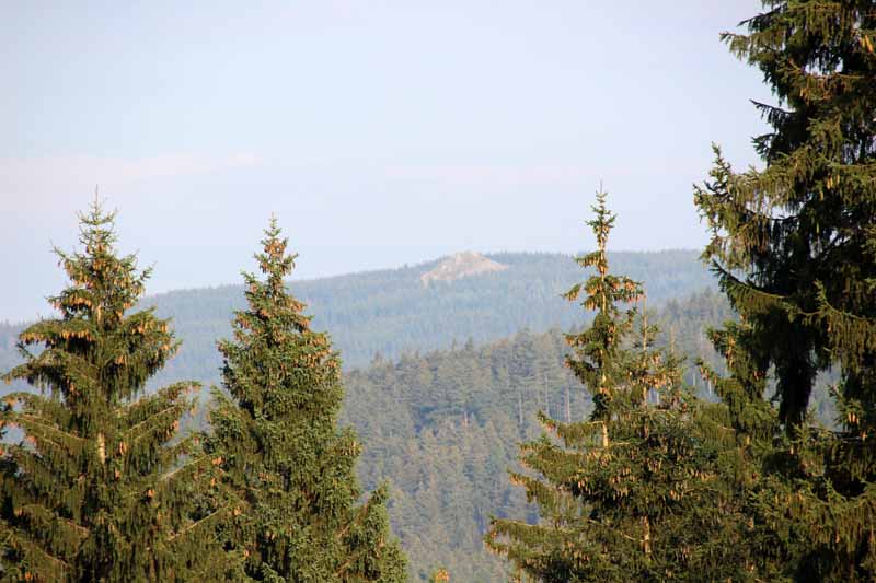 Blick zur Wolfswarte im Harz
