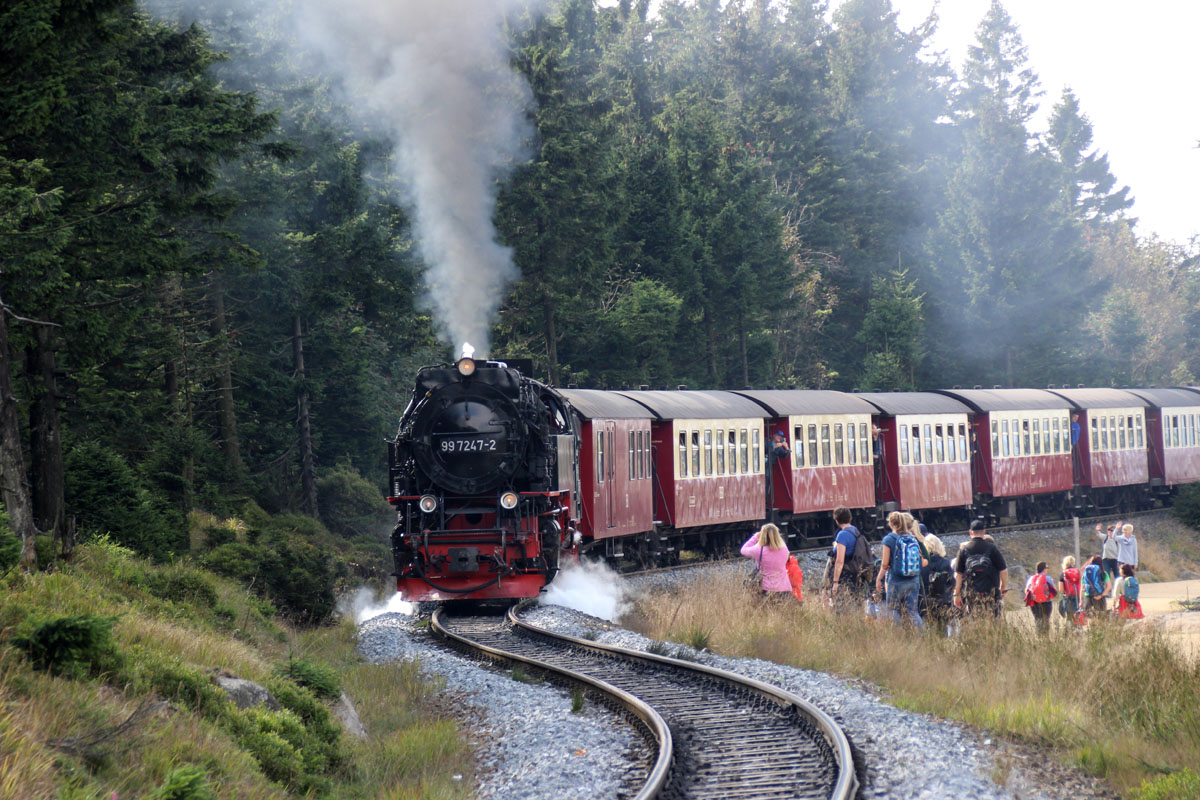 Dampflok der Brockenbahn Harzer Schmalspurbahn
