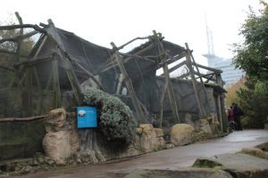 Allein schon einige Gehege im Zoo am Meer Bremerhaven sind sehenswert
