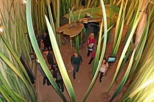 Im Klimhaus Bremerhaven können Besucher die Erfahrung machen, Sardinien aus der Insektenperspektive zu erleben