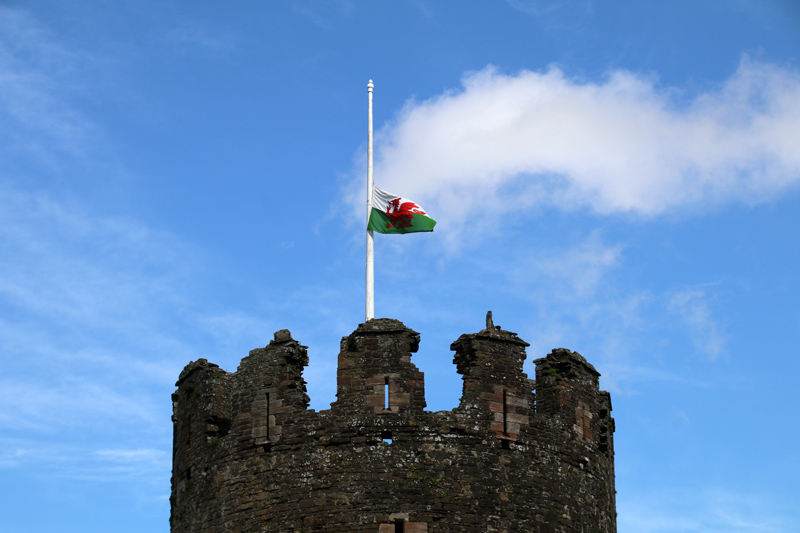 Der Rote Drache als Wappen von Wales auf einer Flagge