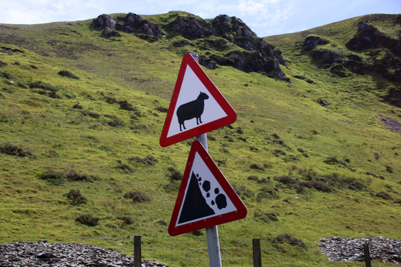 Ein Verkehrsschild mit einem Schaf warnt vor Schafen in Wales