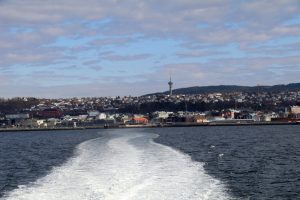 Blick zurück nach Trondheim