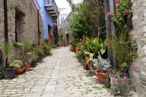 Mediterrane Kübelpflanzen stehen in den Straßen des Dorfes Lefkara im Troodos-Gebirge auf Zypern