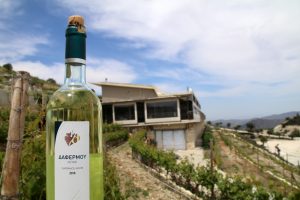 Das Dafermou Weingut auf Zypern kann man auch besuchen