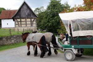 Wer will kann auch mit einer Kutsche durchs Freilichtmuseum Detmold fahren