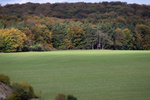 Der Thüringer Wald in Herbst-Färbung