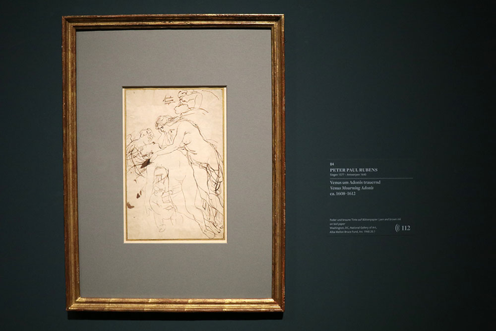 Zeichnung von Peter Paul Rubens - Venus um Adonis trauernd, ca. 1608-1612