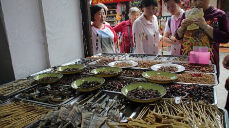 Essen in China Insekten