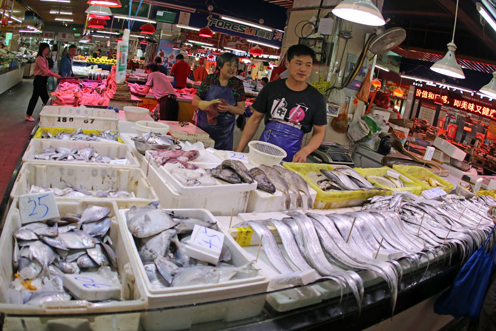 Wahrscheinlich gibt es keine Sorte Fisch, die es hier in der Markthalle auf dem Markt in Suzhou China nicht gibt