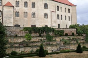 Im Sommer blühen im Rosengarten von Schloss Hartenfels in Torgau zahlreiche Blumen