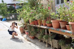 In den schmalen Gassen in Nikosia stehen reichlich Pflanzen