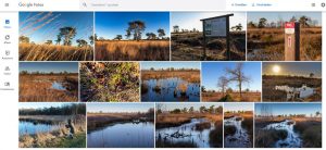 Cloudanbieter wie Google Photos sind sehr praktisch wenn es darum geht Fotos zu organisieren und zu verwalten