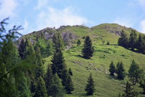 Der Gipfel des Haubergs in Österreich am Walchsee