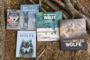 Bücher über Wölfe in Deutschland - aktuelle Neuerscheinungen