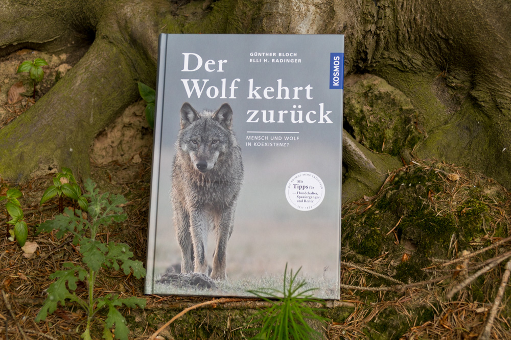 Buch Der Wolf kehrt zurück: Mensch und Wolf in Koexistenz?