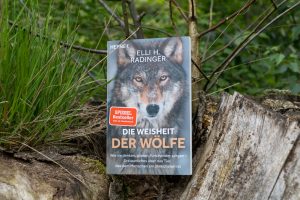 Buch Die Weisheit der Wölfe