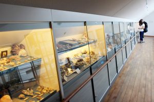 Muschelmuseum auf Spiekeroog