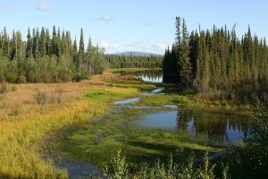 See am Dempster Highway