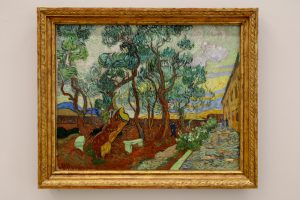 "Der Garten des Hospitals von Saint-Rémy" von Vincent van Gogh