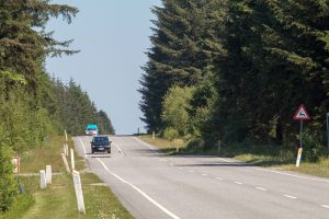 Die Straßen führen an der Jammerbucht oft durch dichte Wälder, die stark an Kanada erinnern
