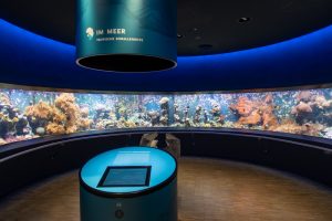Aquarium im Aquazoo Löbbecke Museum Düsseldorf