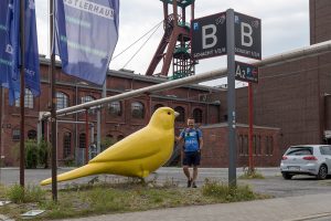 Kanarienvogel vor der Zeche Zollverein in Essen