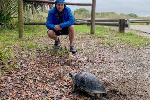 Schildkröte beobachten im Myakka River State Park Florida