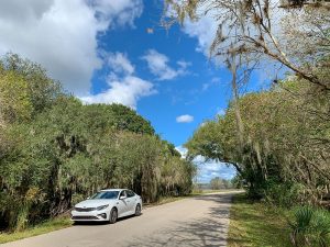 Mit dem Auto durch den Myakka River State Park Florida