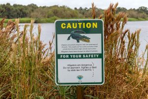 Alligator Warnschild im Myakka River State Park
