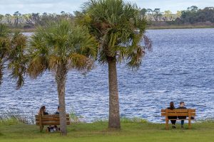 Bänke am Ufer eines Sees im Myakka River State Park Florida