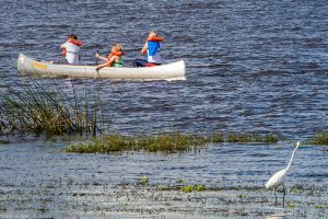 Kanu im Myakka River State Park Florida