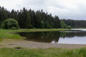 Kiefhölzer Teich Harz