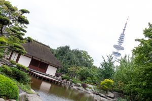 Besuch im Park Planten un Blomen mit dem Japanischen Garten in Hamburg