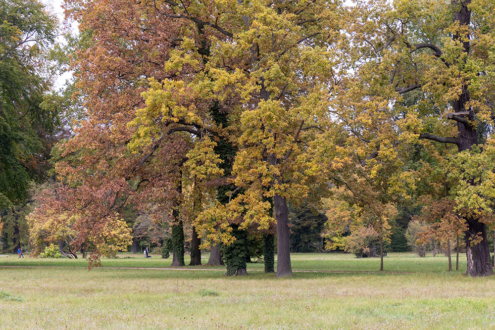 Potsdamer Park Sanssouci im Herbst